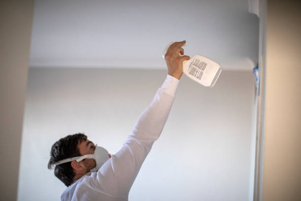 Best Office Mold Removal Services  in Grover Beach, CA