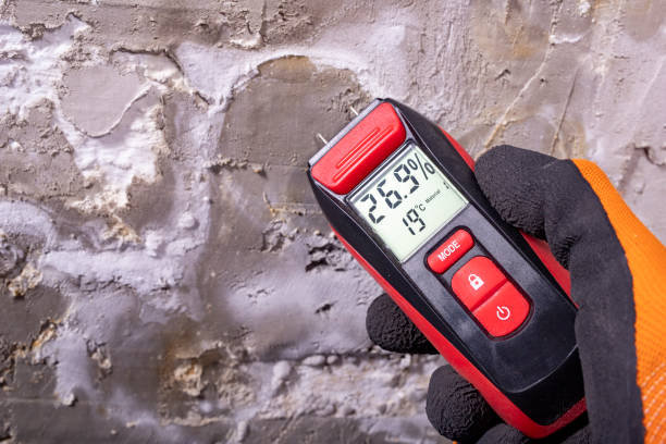 Best Crawl Space Mold Removal  in Grover Beach, CA