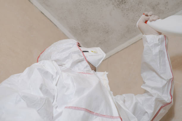Best Fast Mold Removal  in Grover Beach, CA