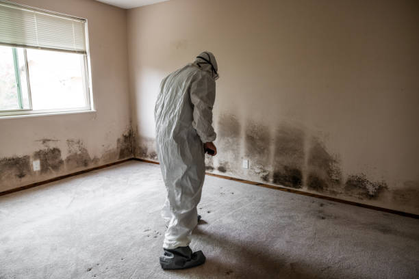 Best Residential Mold Removal  in Grover Beach, CA