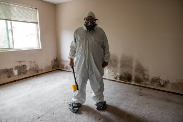 Best Residential Mold Removal  in Grover Beach, CA