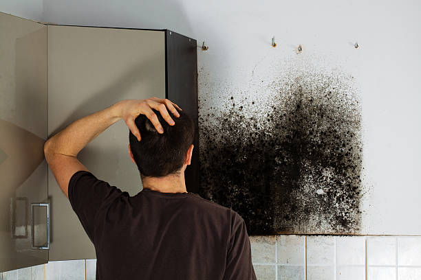Best Home Mold Removal  in Grover Beach, CA