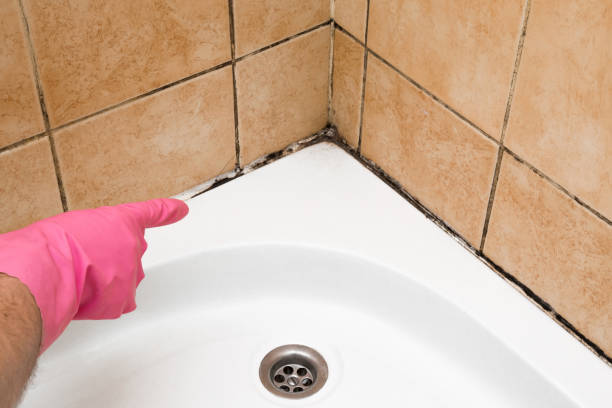 Best Mold Remediation  in Grover Beach, CA